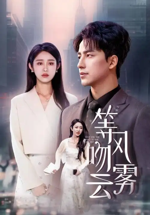 南风旧事 年代电视剧全集在线观看